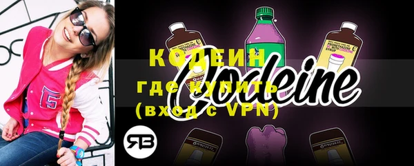 СК Бронницы