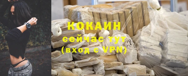 прущие грибы Богданович