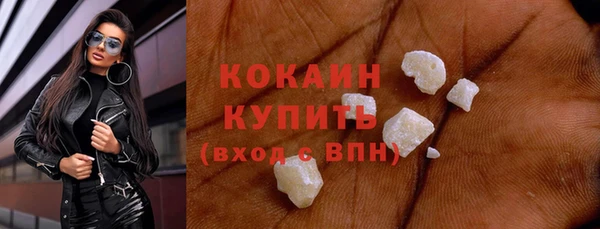 прущие грибы Богданович