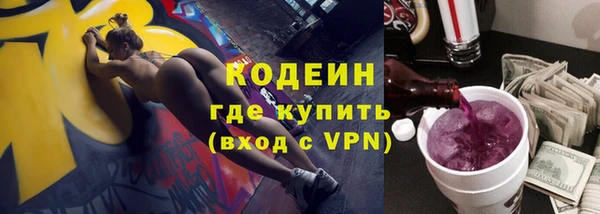 мдпв Бородино