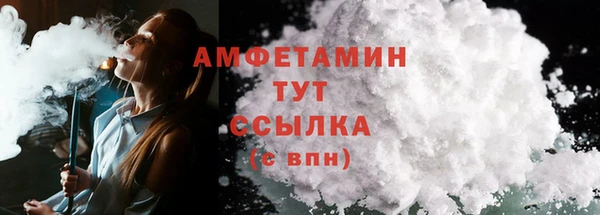 СК Бронницы
