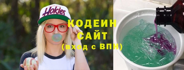 мдпв Бородино