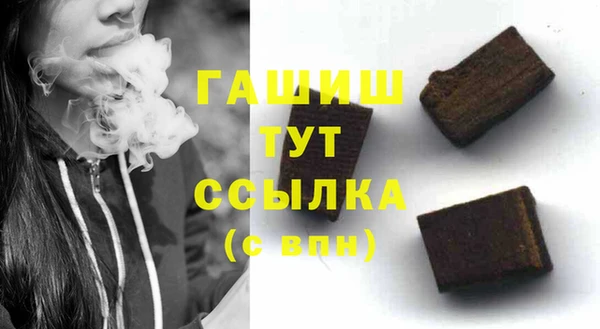 мдпв Бородино