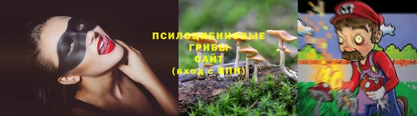 мдпв Бородино