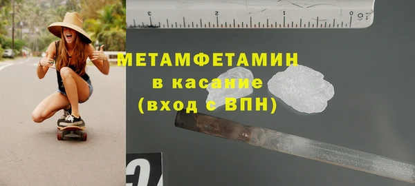 прущие грибы Богданович