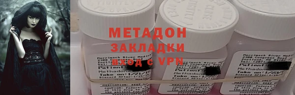прущие грибы Богданович