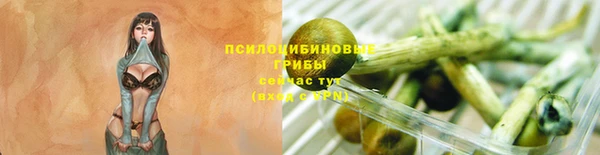 прущая мука Богородск