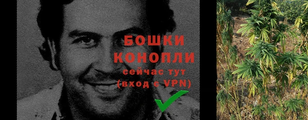 СК Бронницы