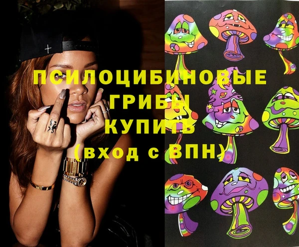 прущие грибы Богданович