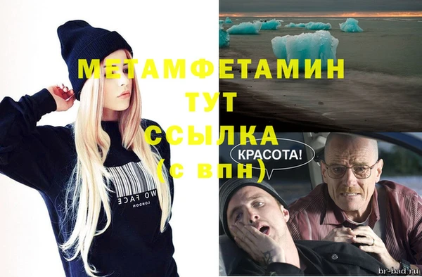 прущие грибы Богданович