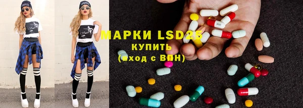 мдпв Бородино