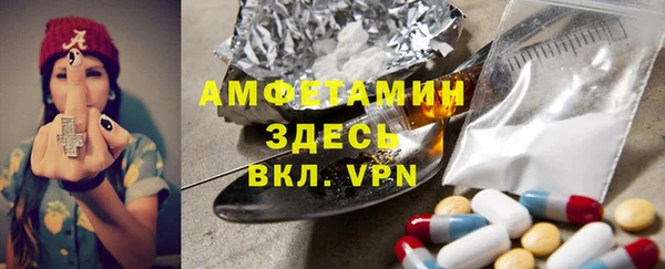 мдпв Бородино