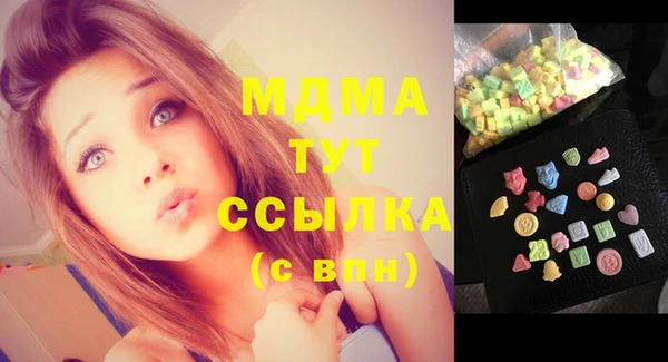 мдпв Бородино